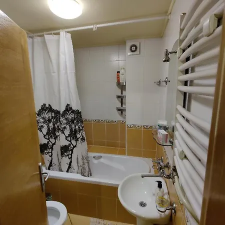 Maja * נובי סאד