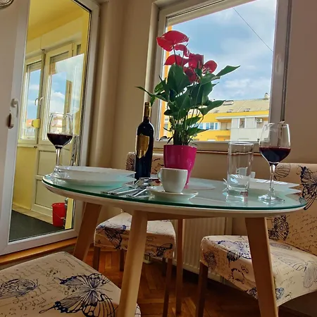 Maja * נובי סאד